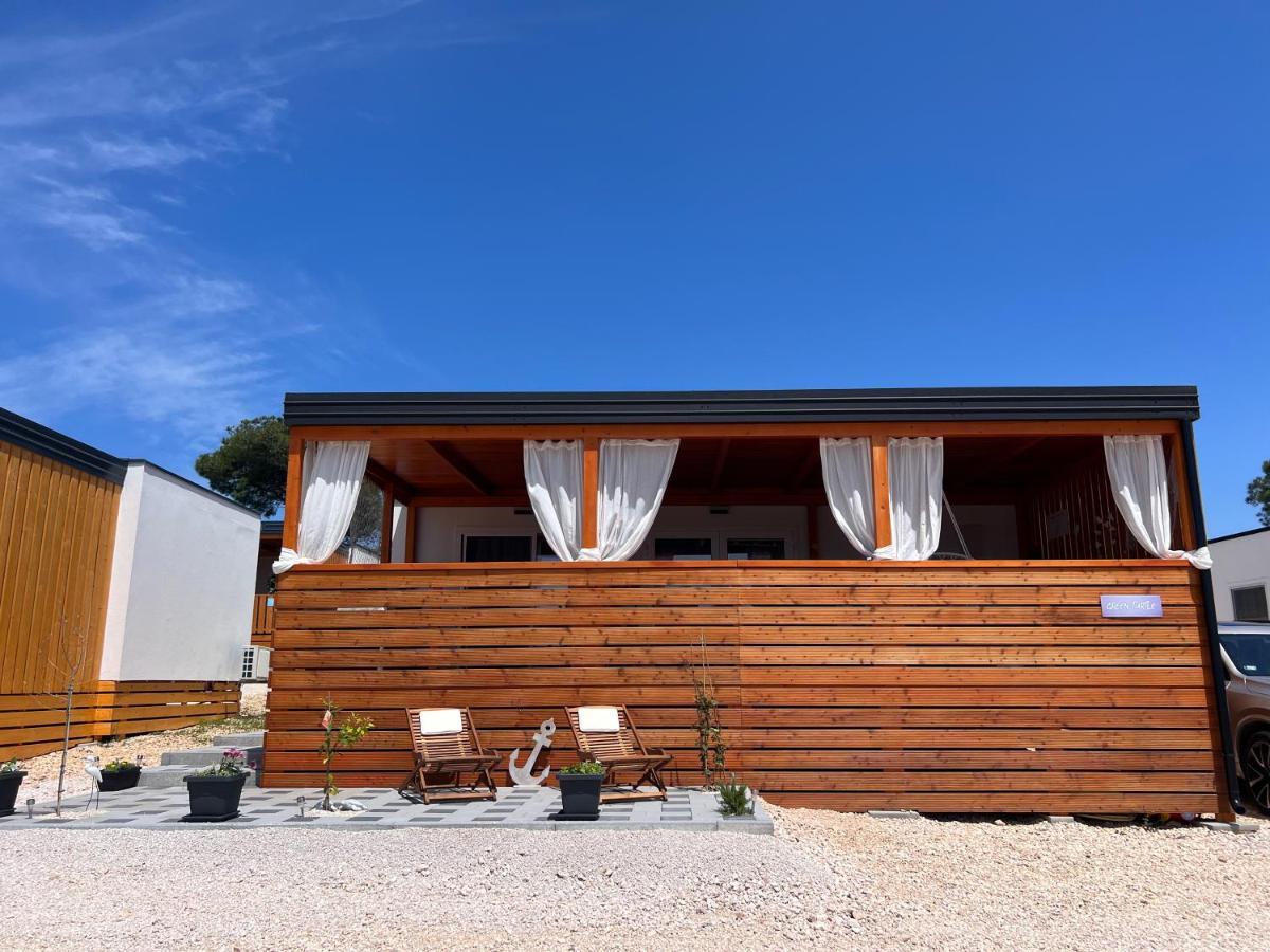 Turtle - Lovely, Brand New Near The Sea