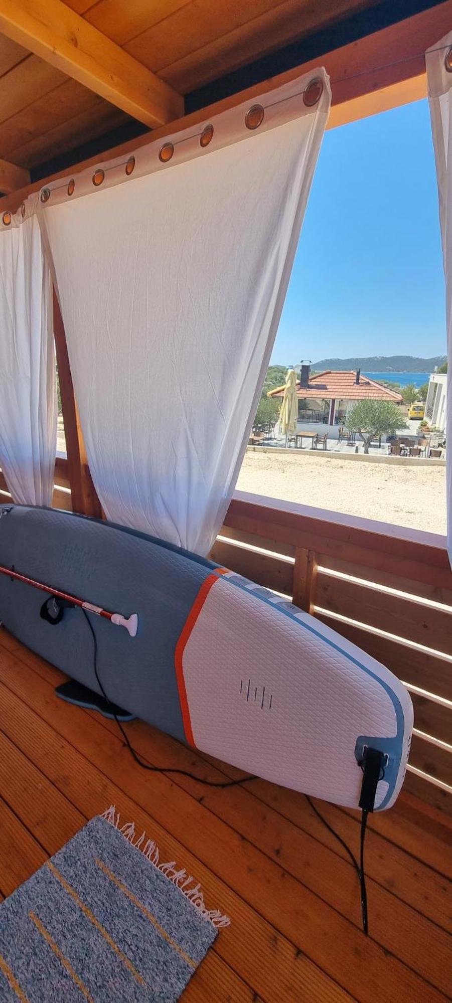 Turtle - Lovely, Brand New Near The Sea